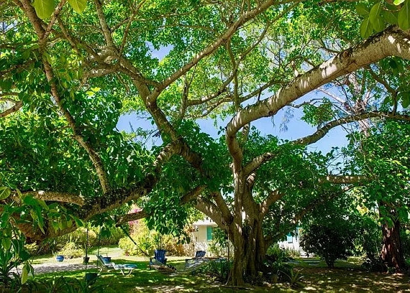 AS SEEN IN WANDERLUST MAGAZINE! Private Cottage on Pink-Sand Beach in Eleuthera, Bahamas — photo 5