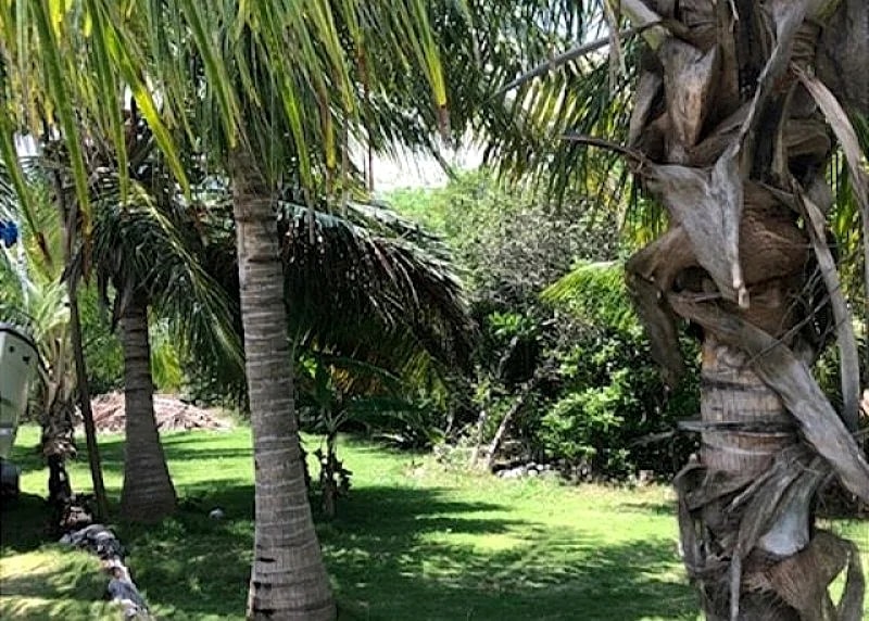 Cotton & Coconuts home 3 bedrooms 2 1/2 bath with ocean views in Eleuthera, Bahamas — photo 5