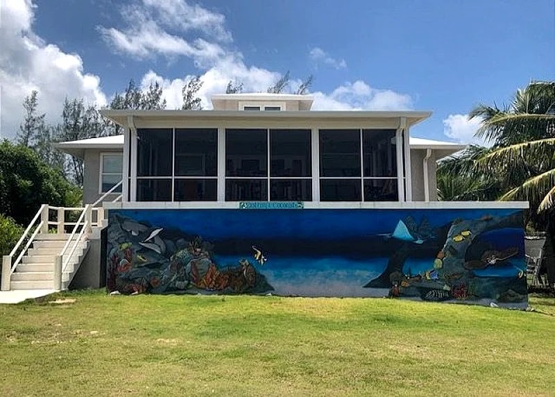 Cotton & Coconuts home 3 bedrooms 2 1/2 bath with ocean views in Eleuthera, Bahamas — photo 1