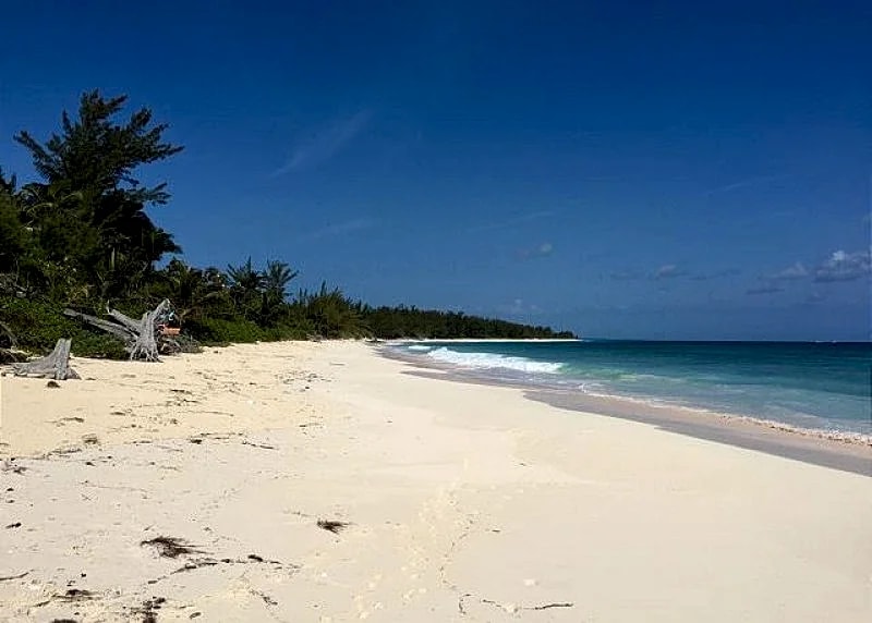 Beachfront Cottage with 50 Mile Ocean View and Pool Access in Eleuthera, Bahamas — photo 5