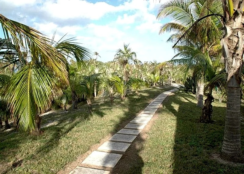 Private 2 Bedroom Beachfront Estate 100 Yards from a Deserted Pink Sand Beach in Eleuthera, Bahamas — photo 3