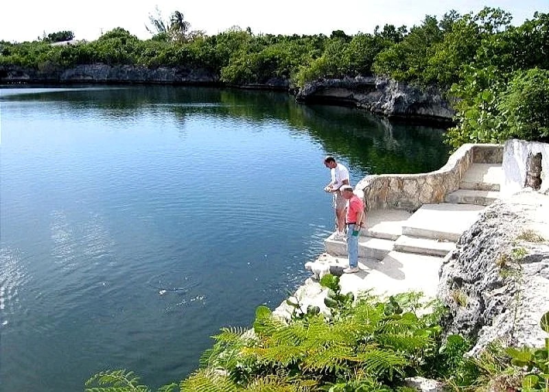Bright and Sunny Designer Cottage w/Sunset Ocean Views. BRAND NEW in Eleuthera, Bahamas — photo 2