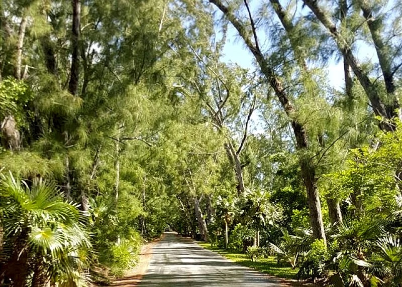 Windermere Island Beach House with Club Membership, Pool, Tennis in Eleuthera, Bahamas — photo 5