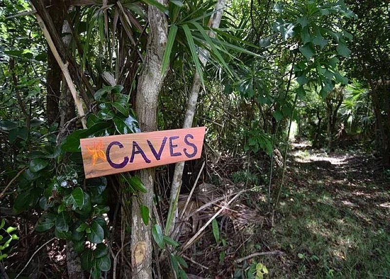 TOP RATED Private Oceanfront Estate, Best Snorkeling! Caves, SUP, Kayaks in Eleuthera, Bahamas — photo 5