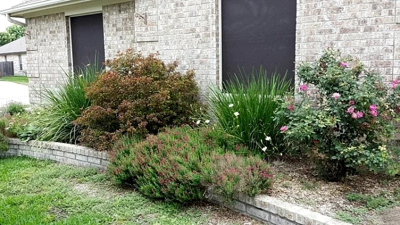 4 Bedrooms 2 Bathrooms House 18900 Huntingtower Castle Blvd in Pflugerville, Texas, United States — photo 3