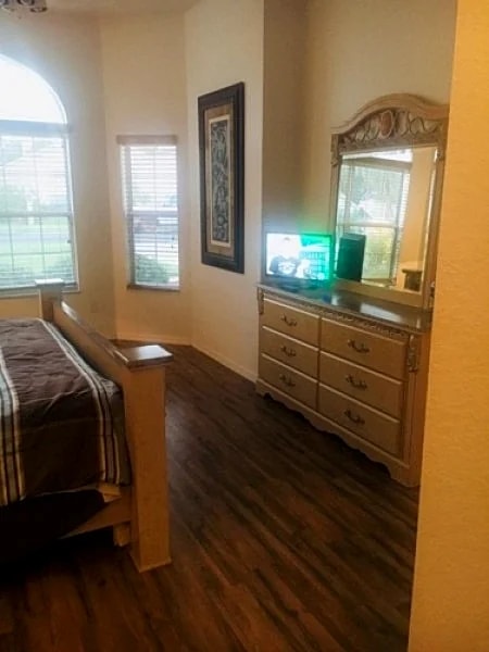 4 Bed two Bath Home in Davenport with Pool and Spa and Private Back yard. in Davenport, Florida, United States — photo 5