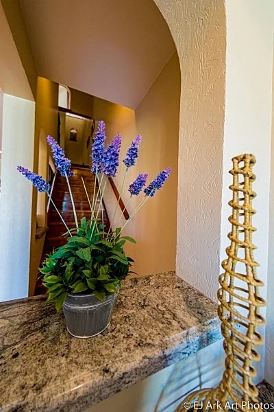 Palms 12 in Playa Flamingo, Guanacaste, Costa Rica — photo 4