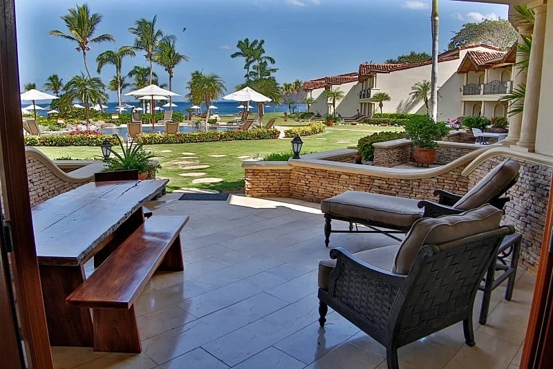 Palms 15