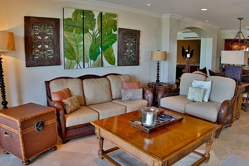 Palms 20