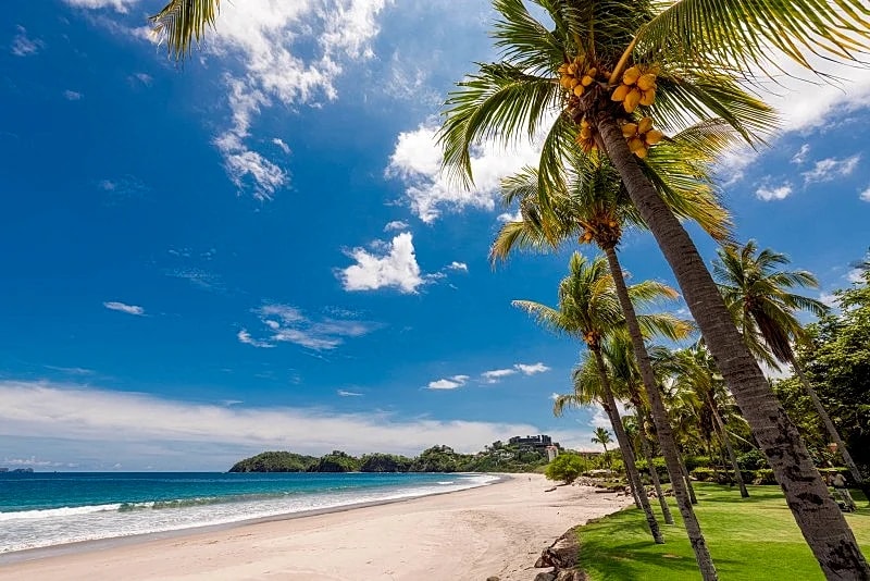 Palms 24 in Playa Flamingo, Guanacaste, Costa Rica — photo 1
