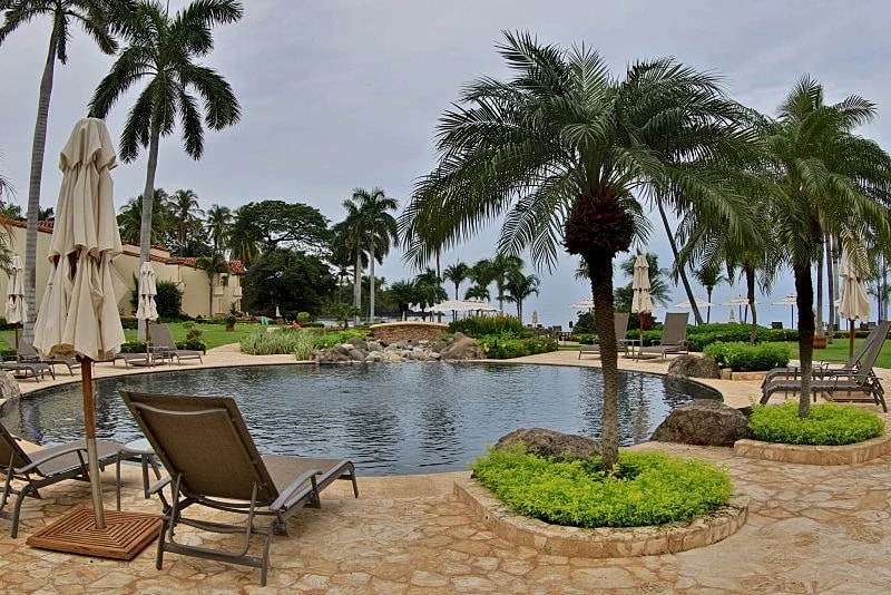 Palms 10