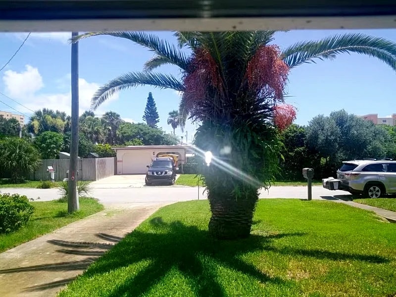 2 bedroom beachside home lrg fenced yard dogs welcome in Daytona Beach, Florida, United States — photo 2