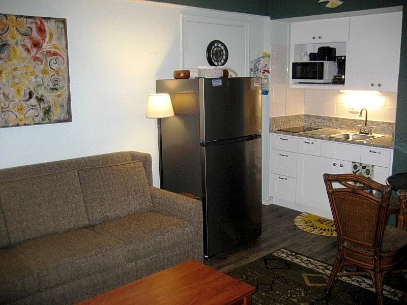 MILLION $ VIEW Booking Spring and Summer of 2026 Now in Daytona Beach Shores, Florida, United States — photo 4
