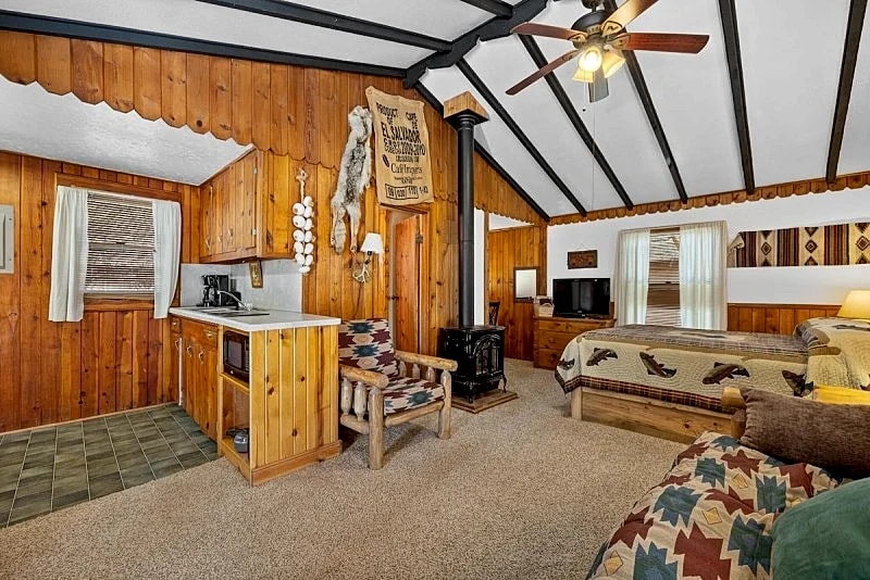 Studio Deluxe Cabin Thirty Minutes to Mt Rushmore - In Rapid City On Canyon Lake Thirty Minutes from Mt Rushmore in Rapid City, South Dakota, United States — photo 5