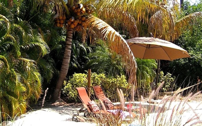 Private tropical paradise 155 5 Star reviews. No cleaning, pet fees. Clothing opt. in Fort Myers, Florida, United States — photo 2
