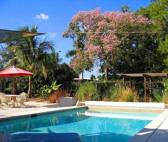 Private tropical paradise 155 5 Star reviews. No cleaning, pet fees. Clothing opt. in Fort Myers, Florida, United States — photo 4