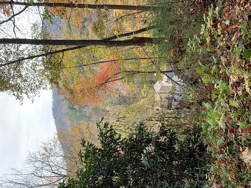Bee Knob Inn & Treehouse: Silver Creek Retreat, Whittier Smoky Mountains in Qualla, North Carolina, United States — photo 2