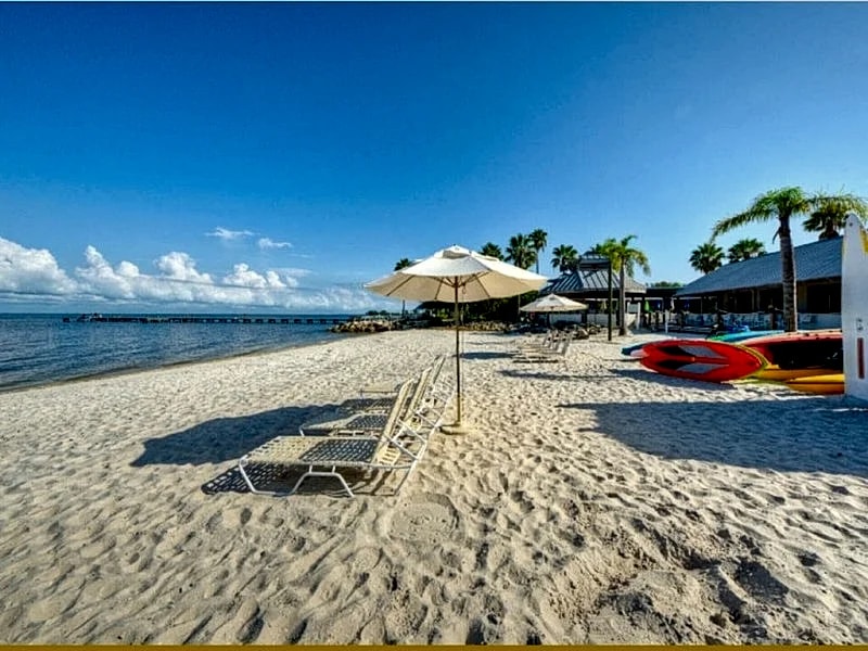 upscale 4 bedroom waterfront beach house in Ruskin, Florida, United States — photo 4