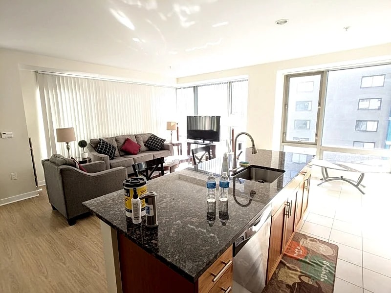 Spacious 2 Bed/Bath Apt Nearby MGH,MIT,Harvard, Washer/Dryer in suite, Modern Bd in Boston, Massachusetts, United States — photo 3