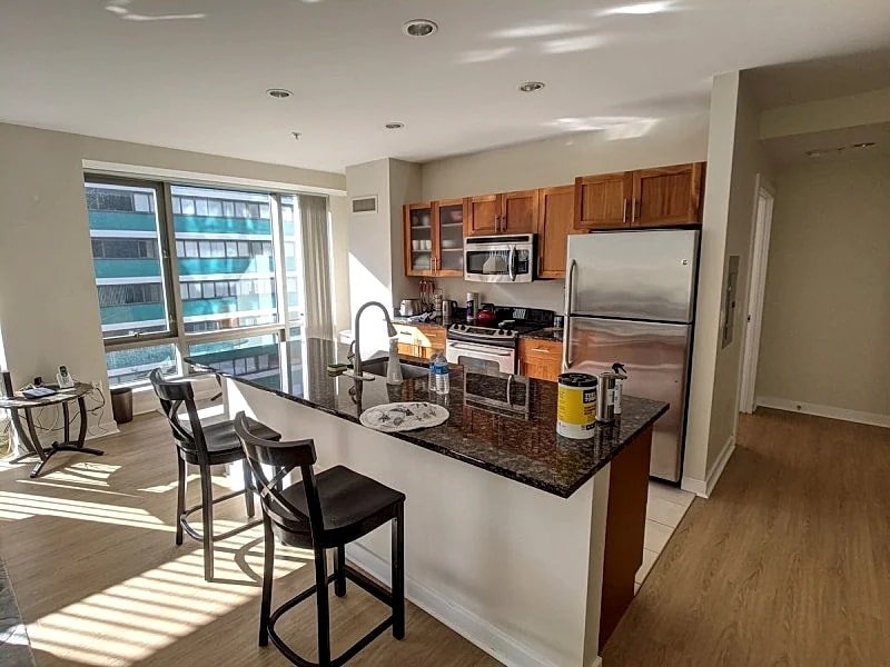 Spacious 2 Bed/Bath Apt Nearby MGH,MIT,Harvard, Washer/Dryer in suite, Modern Bd in Boston, Massachusetts, United States — photo 4