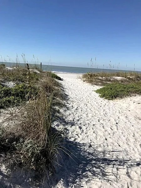 Self Check-in-out/Extra clean Across from John's Pass/view of Bridge/much more in Madeira Beach, Florida, United States — photo 5