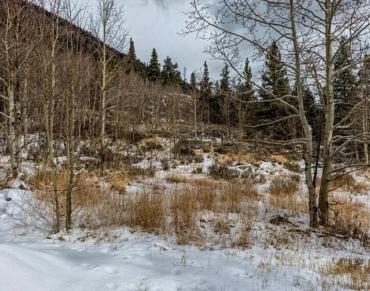 Zuni Log Cabin Vacation Rentals in Leadville, Colorado, United States — photo 4