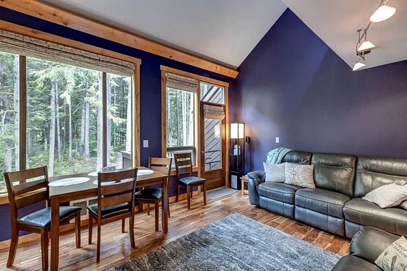 Snowater Condo #23 - Luxurious Condo - WiFi in Glacier, Washington, United States — photo 5