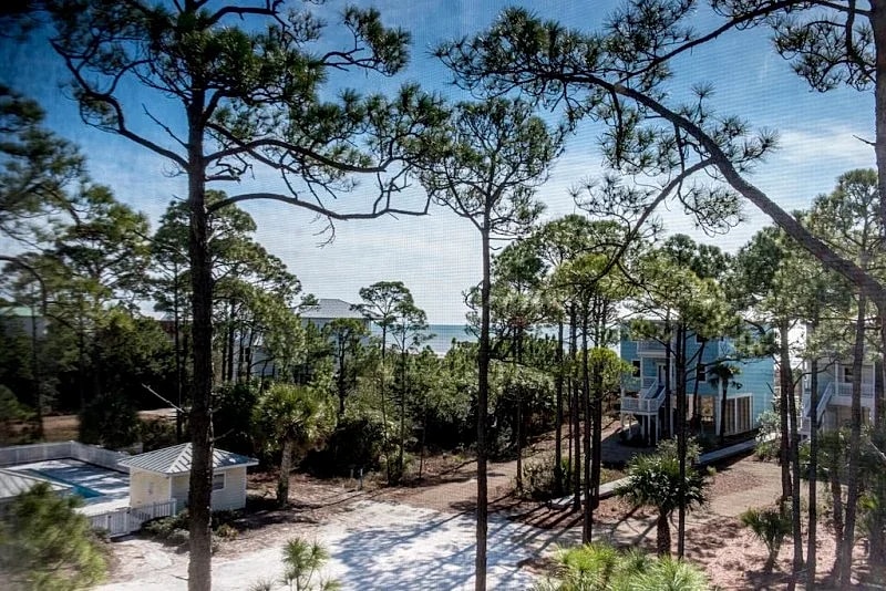 Lovely luxury home 75yds to beach, wonderful views, pool & screened porches in Port St. Joe, Florida, United States — photo 5