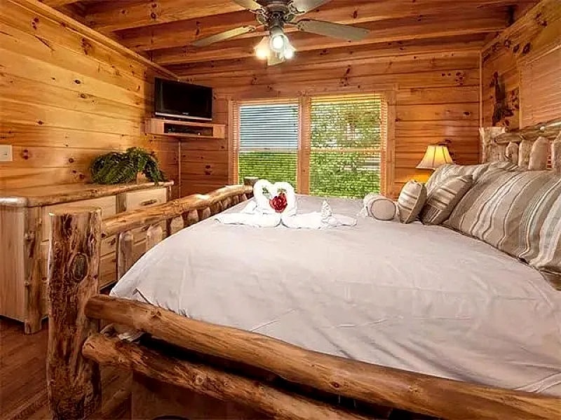Animal House (2 BR) in Sevierville, Tennessee, United States — photo 5