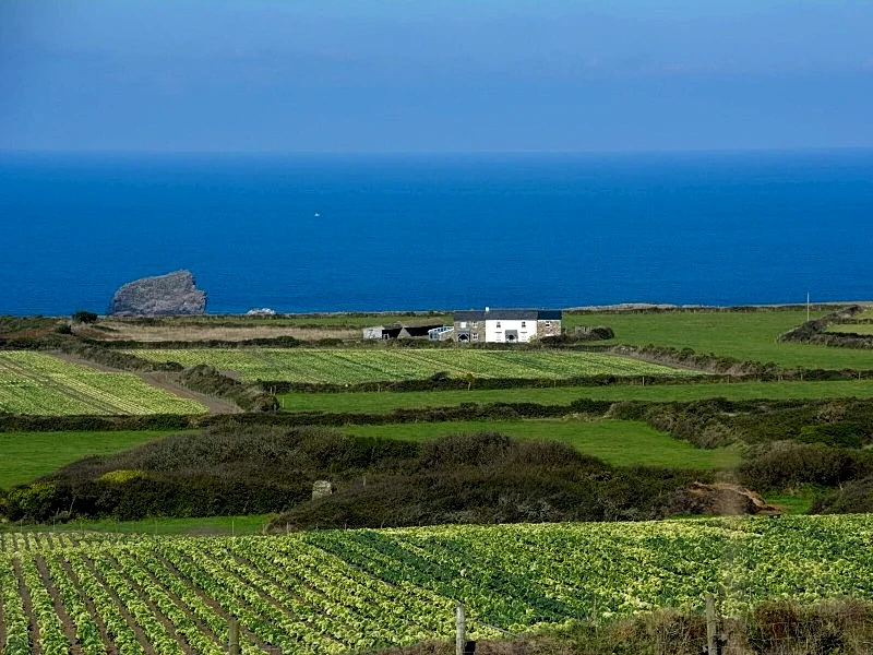 Newdowns Cottage in Cornwall, England, United Kingdom — photo 2