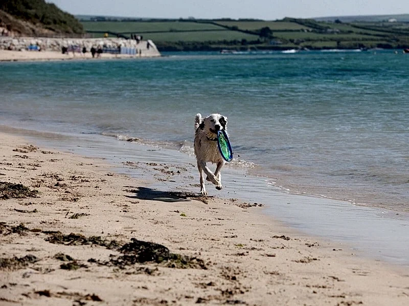 Padstow - The Linhay in Cornwall, England, United Kingdom — photo 3