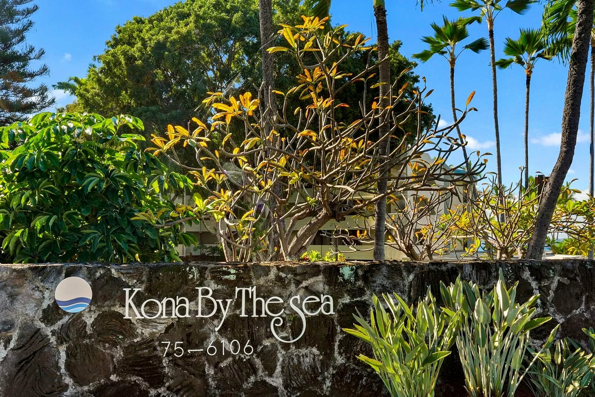 Kona By The Sea 315 - Oceanfront Condo & Pool Views in Kailua-Kona, Hawaii, United States — photo 3