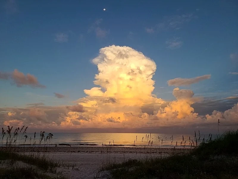 Beachfront Cottages GARDEN at Beautiful Sandy Shores on Gulf of Mexico in Indian Rocks Beach, Florida, United States — photo 5