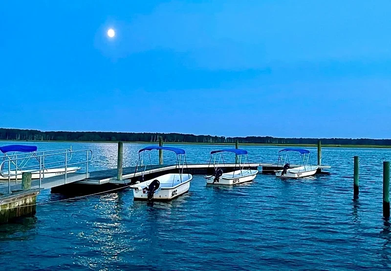 Waterfront cottage with the most peaceful view! in Chincoteague, Virginia, United States — photo 5