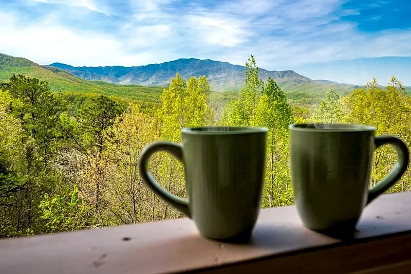 Bearded Bear Lodge, Pet Friendly, Mountain Views