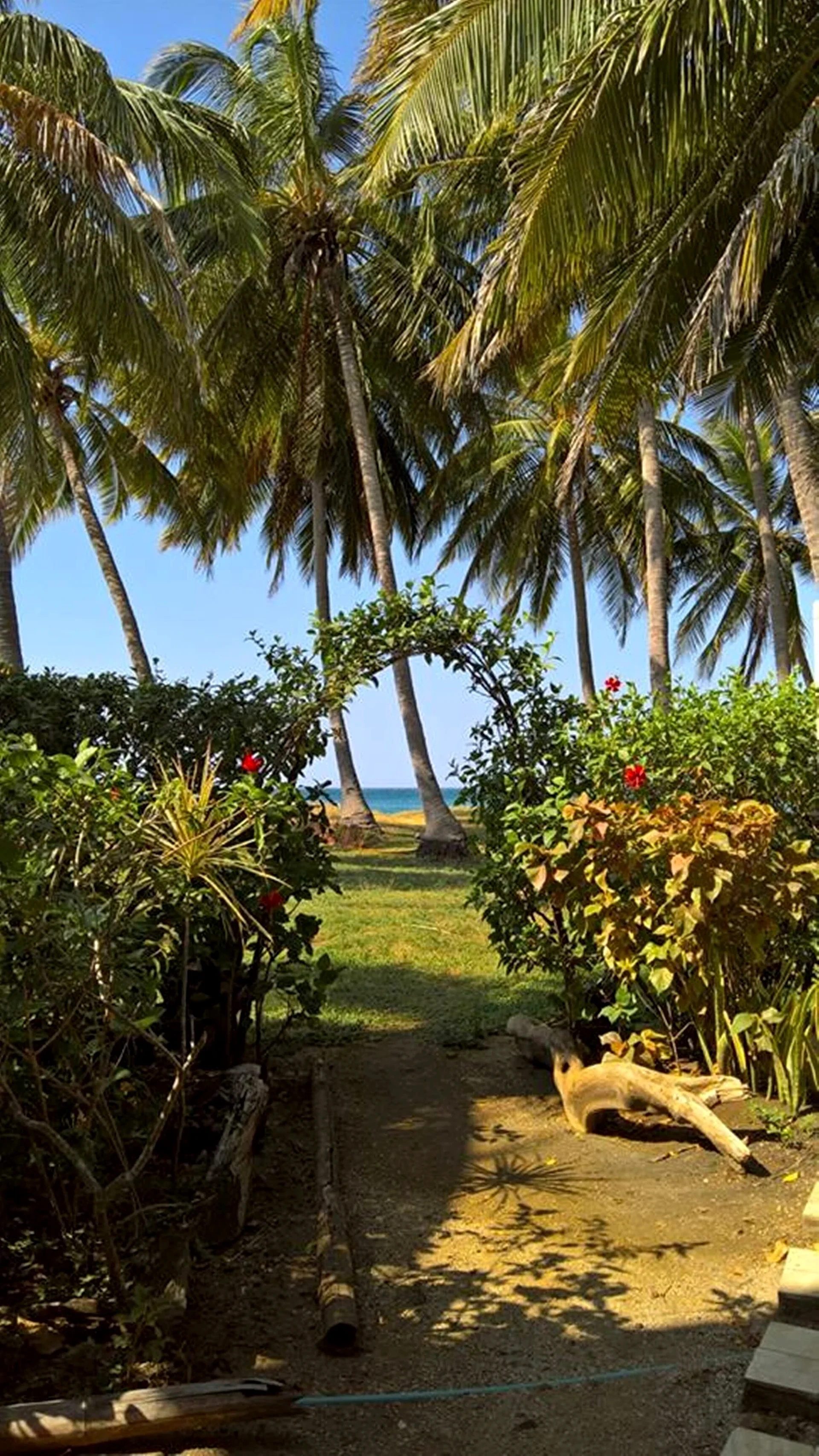 Costa Rica Paradise Right on the Beach!!!