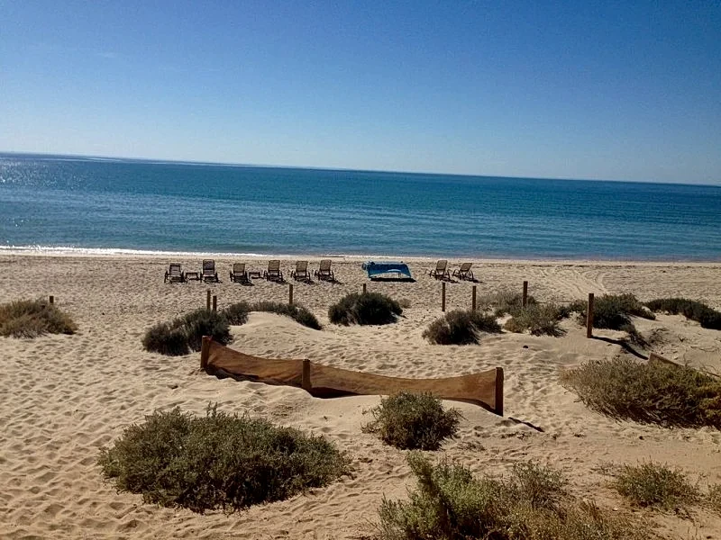Beachfront Property! Nicest Beach In Penasco 6 Br, 4 Bath, 20ft Dome Ceilings in Puerto Penasco, Sonora, Mexico — photo 3