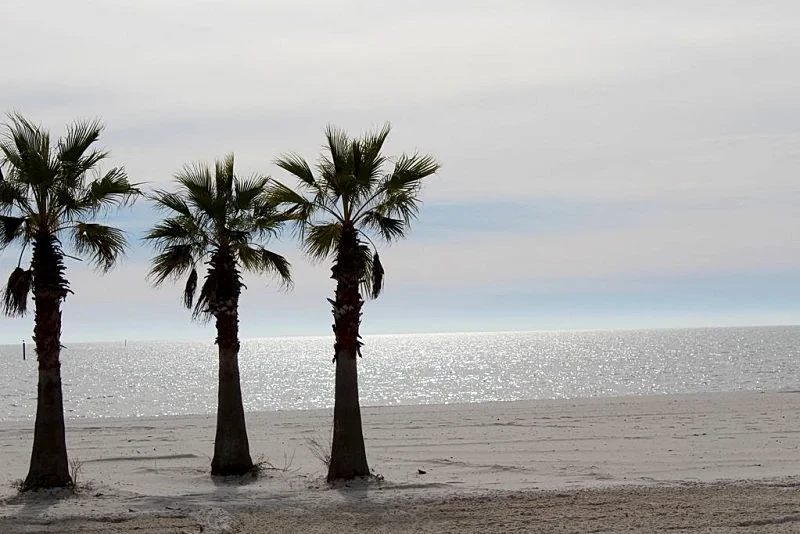 Pretty Condo, Newly Decorated, Perfect for TDY & Beach Visitors! in Biloxi, Mississippi, United States — photo 5