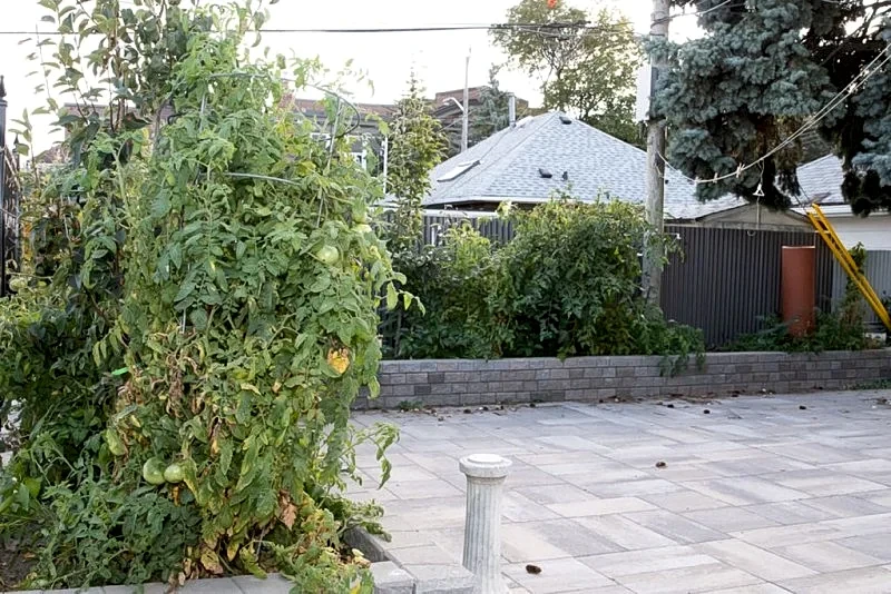 Sunnetts homes and vacations ( Three Bedrom Duplex) in Toronto, Ontario, Canada — photo 3