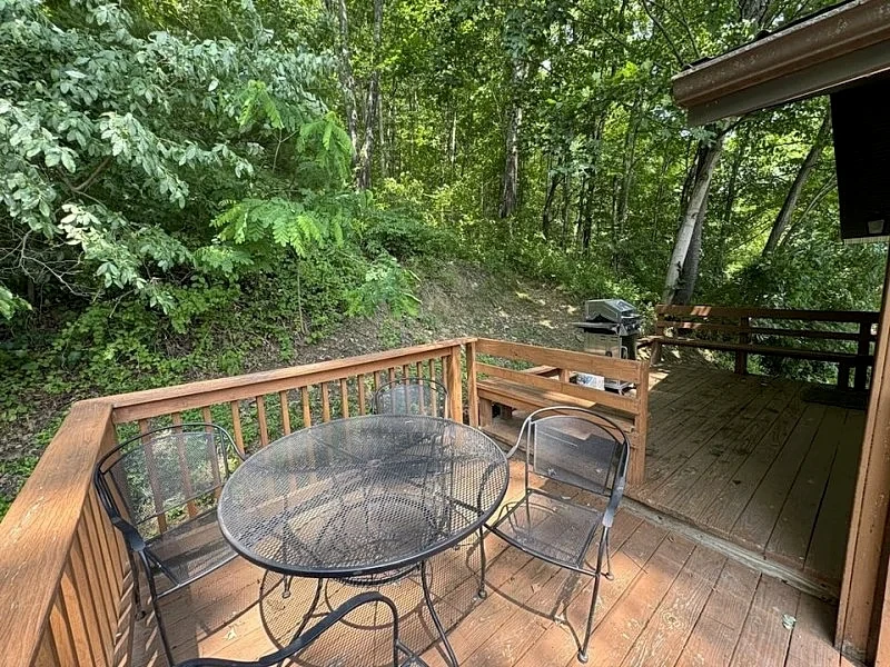 Sandy Run Cabin-Hot Tub, Hocking Hills, WNF, more in New Straitsville, Ohio, United States — photo 4
