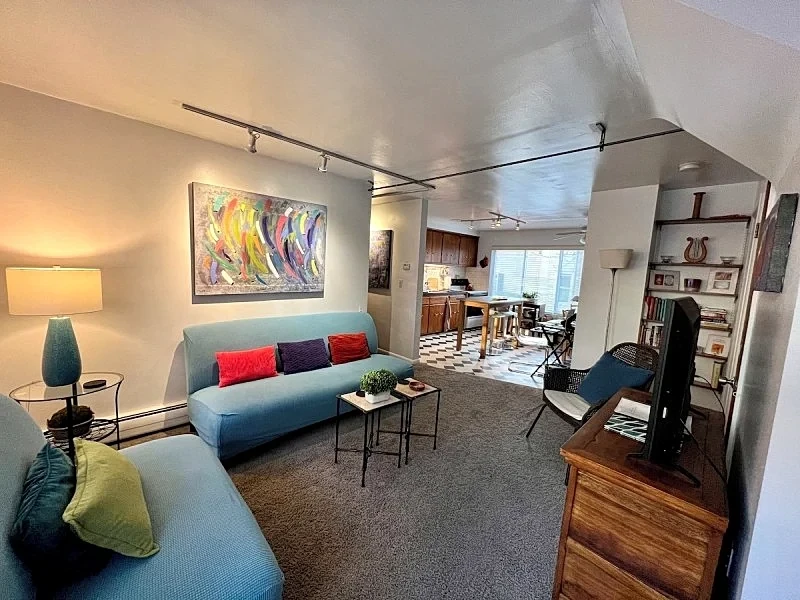 CD1 Downtown Garden Flat (Central) in Ann Arbor, Michigan, United States — photo 1