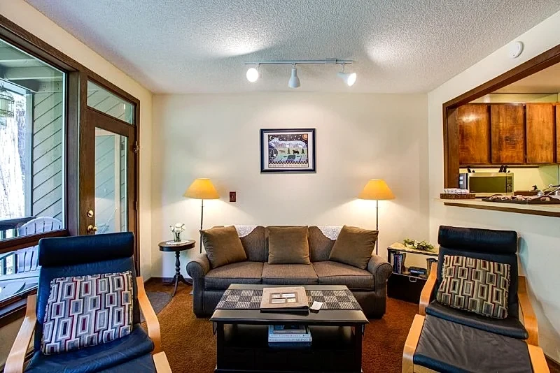 Snowater Condo #28 - Wi-Fi - Fireplace - Sleeps 4 in Glacier, Washington, United States — photo 3