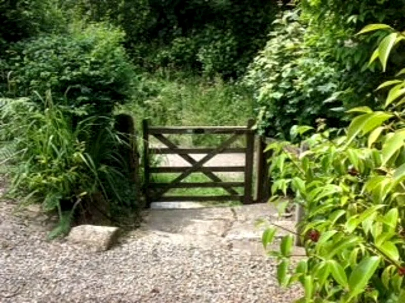 Photo 4