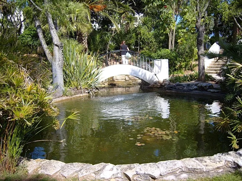 Photo 24