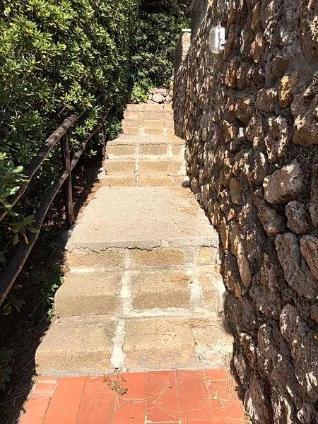 Photo 36