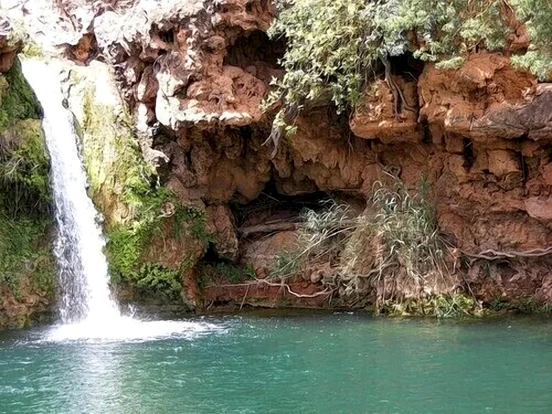Photo 25