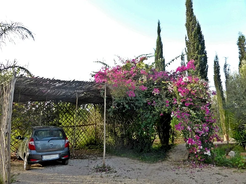 Photo 46
