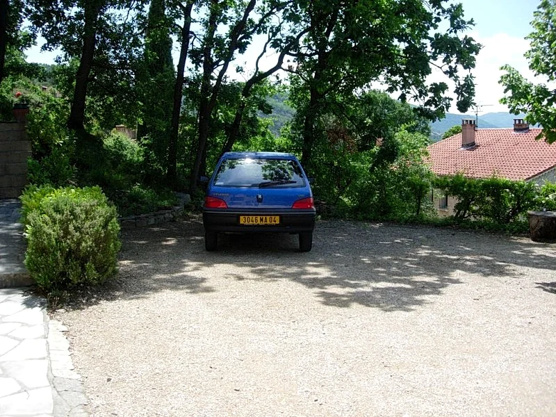 Photo 24
