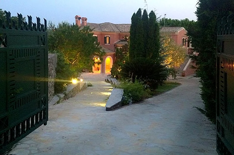 Photo 11