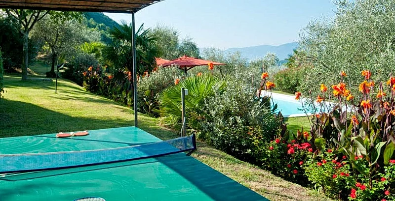 Photo 40